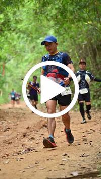 BIB:  <button type="button" onclick="openModal(26808602)" class="btn btn-primary btn-sm float-right" data-toggle="modal" data-target=".modal-high-quality">
                <i class="fa fa-download"></i> Download
                </button>